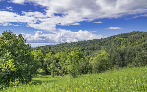 Scenic view of landscape against cloudy sky