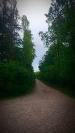 Road amidst trees against clear sky