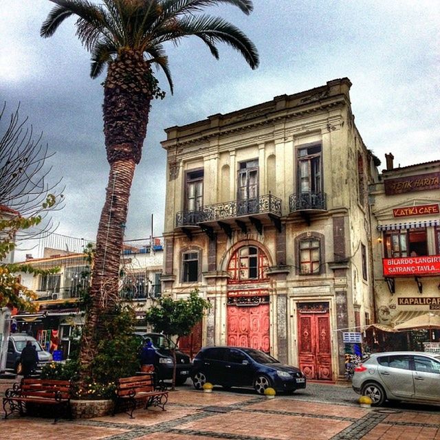 building exterior, architecture, built structure, land vehicle, car, transportation, tree, mode of transport, street, palm tree, sky, city, incidental people, road, city life, day, bicycle, building, parking