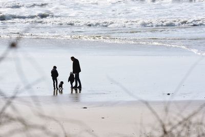 Silhouette father with sons and dog at beach