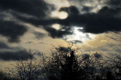 Low angle view of bare trees against cloudy sky