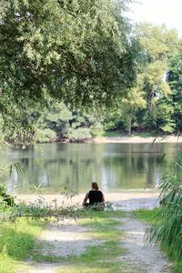 Scenic view of lake by trees