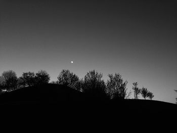 Low angle view of silhouette trees against clear sky at night