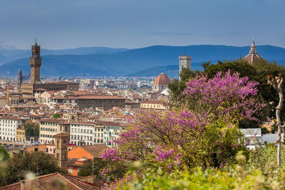 View of the beautiful city of florence from the giardino delle rose in an early spring day