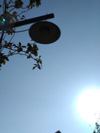 Low angle view of trees against clear blue sky