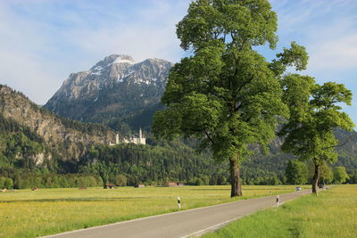 Trees on field by mountains against sky