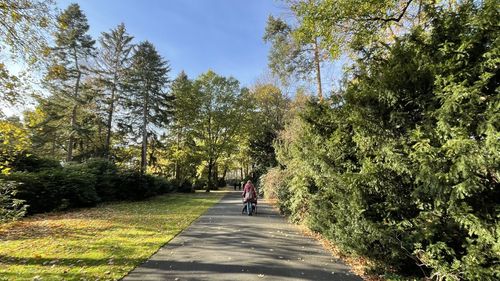 People riding bicycle on road amidst trees