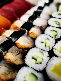 Close-up of sushi