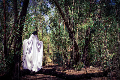 Rear view of person standing by trees in forest