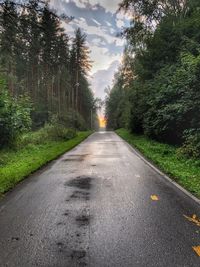 Empty road amidst trees in forest