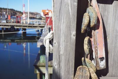 Close-up of wooden post at pier