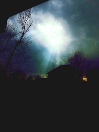 Low angle view of trees against sky at night