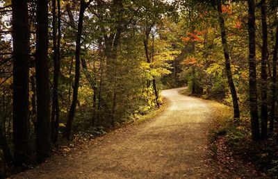 Footpath amidst trees in forest during autumn