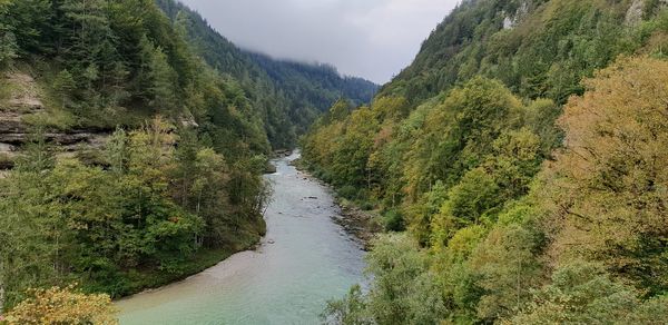 Scenic view of river amidst trees against sky