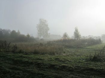 fog