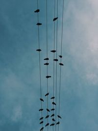 Low angle view of crane against sky