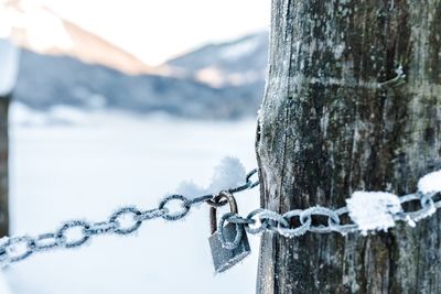 Close-up of padlocks on snow covered mountain