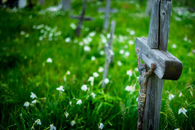 High angle view of crucifix amidst plants at cemetery