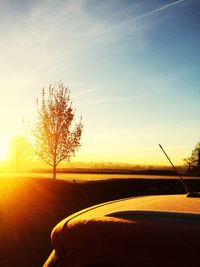 Close-up of tree by sea against sky during sunset