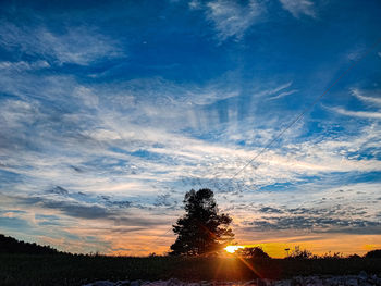 Silhouette trees against sky during sunset