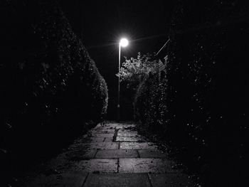 Illuminated street light at night