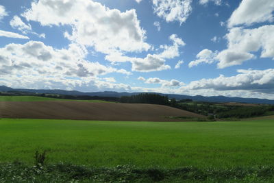 Scenic view of agricultural field against sky