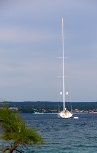 Sailboat sailing on sea against sky