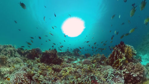 undersea