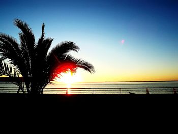 Silhouette of palm trees at sunset