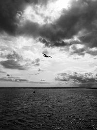 Airplane flying over sea against sky