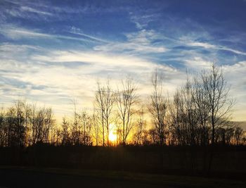 Silhouette trees on field against sky at sunset