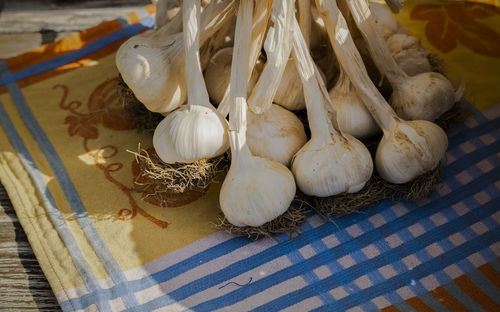 High angle view  of group of garlic on kitchen towel