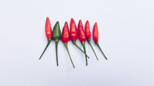 Close-up of red chili pepper against white background