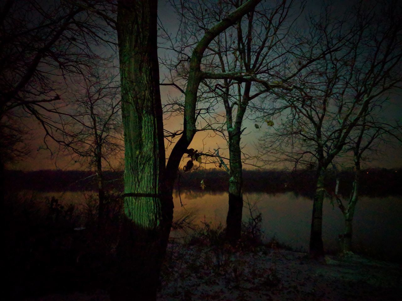 tranquility, tree, bare tree, nature, tranquil scene, scenics, forest, beauty in nature, lake, tree trunk, outdoors, night, no people, landscape, branch, water, sky