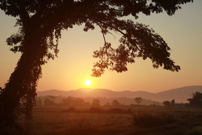 Beautiful view of sunshine time