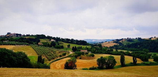 Scenic view of agricultural field against sky