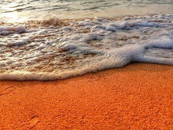 Scenic view of sea shore during sunset