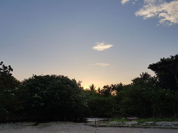 Scenic view of trees against sky during sunset