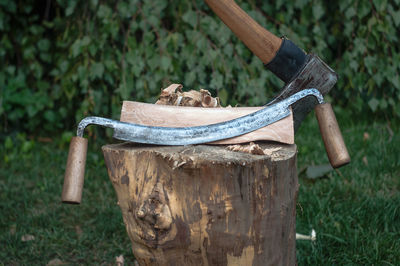 Close-up of equipment on tree stump