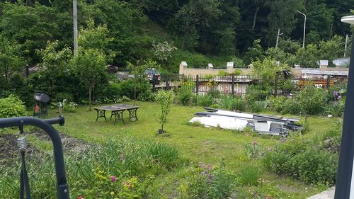 Scenic view of trees and plants by building