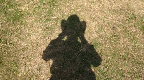 High angle view of man standing on grassy field