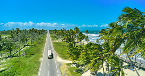 Road amidst trees against clear blue sky