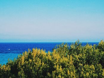 Scenic view of sea against clear blue sky