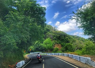Cars on road amidst trees against sky