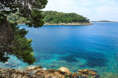 Scenic view of sea by trees against sky