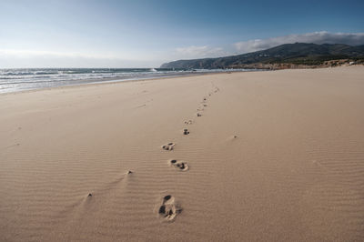 Scenic view of beach against sky