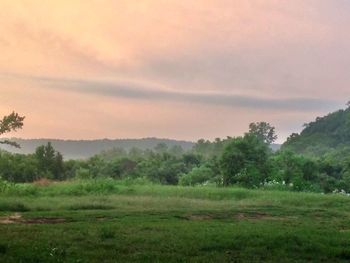 Scenic view of field against sky