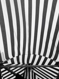 Close-up of zebra