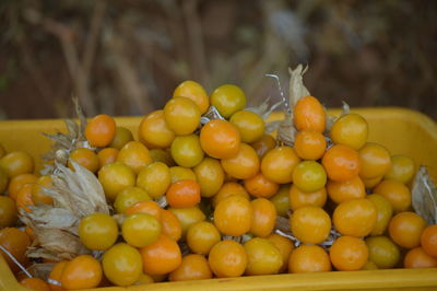 Goose berries for sale