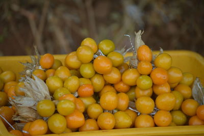 Close-up of fruits